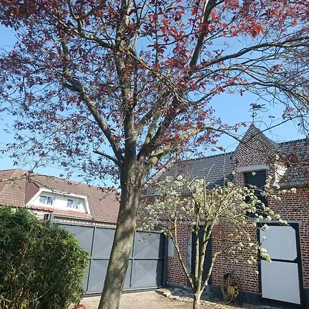 La Reserve, Et Noyelles-sous-Bellonne